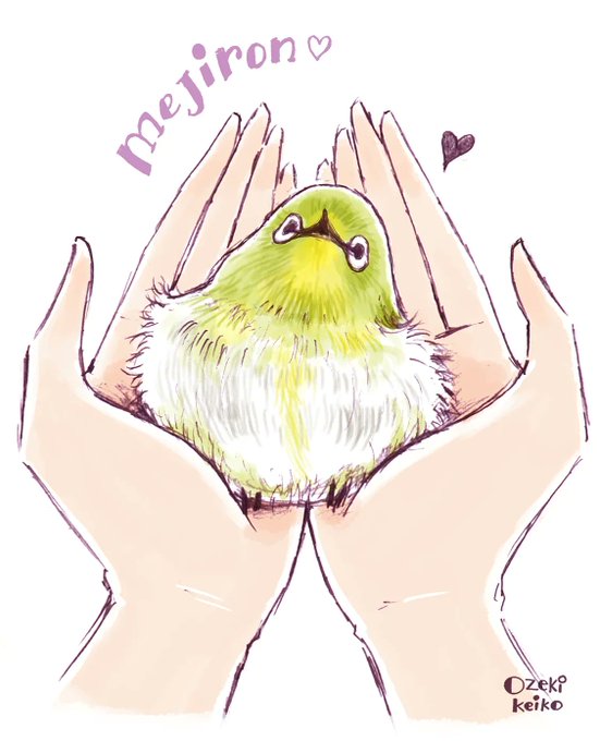めじろんのtwitterイラスト検索結果