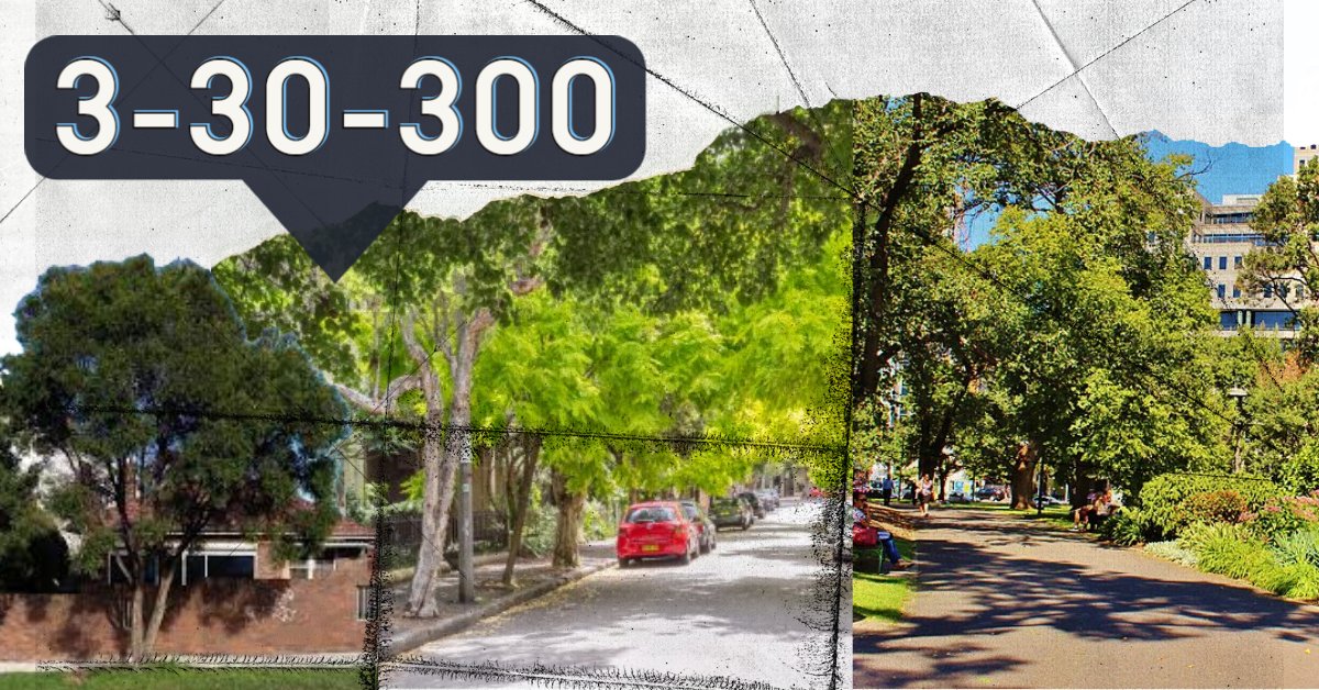 ubcMUFL's tweet photo. Are you talking about 3-30-300?

Find out more about the rule at https://t.co/6eMtlenAHL

@AnUrbanForester @ubcMUFL https://t.co/Xhk0rHSw3S