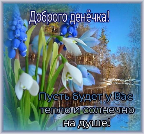 🌷НАТАЛИ🌷 tweet media