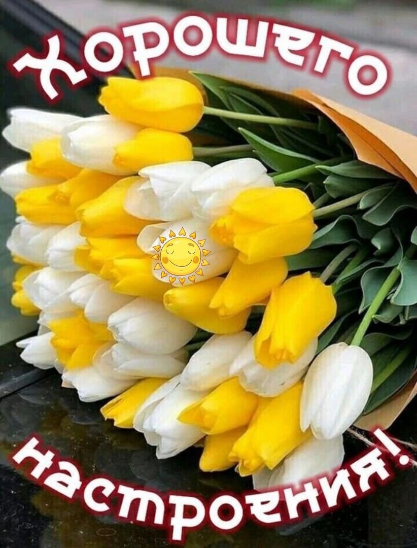 🌷НАТАЛИ🌷 tweet media