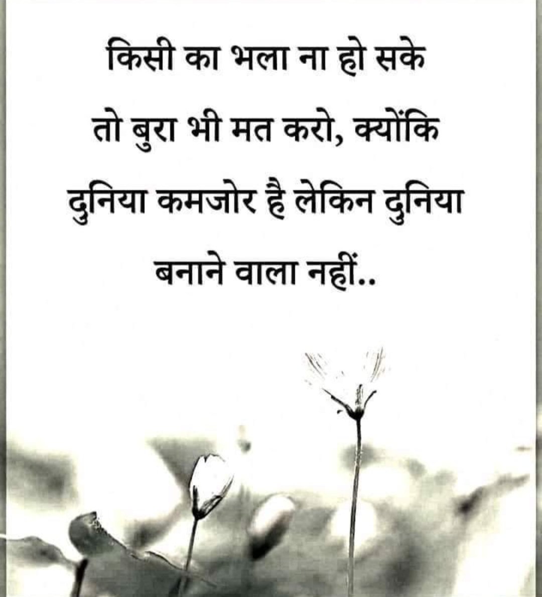 priyainsa8322's tweet photo. Trueline https://t.co/EYpLQTfuDL
