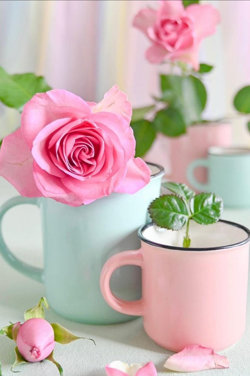 🌷НАТАЛИ🌷 tweet media