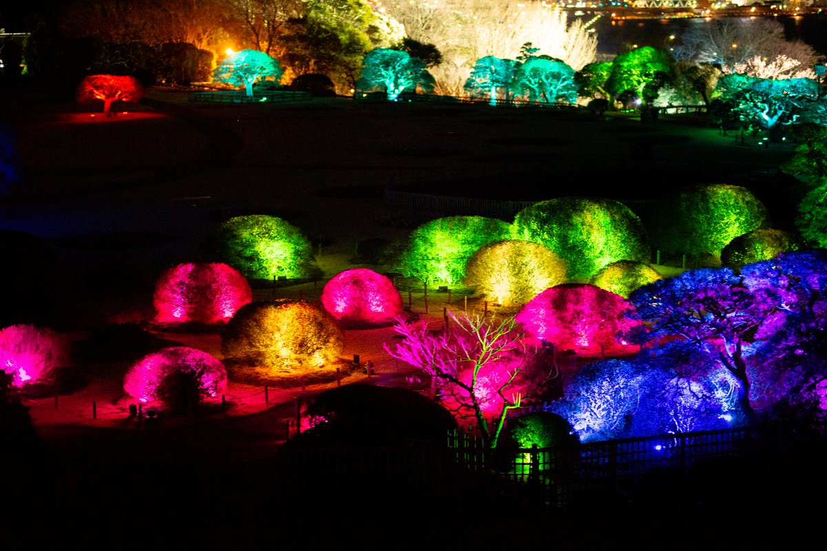 teamLab_net's tweet photo. “teamLab: Digitized Kairakuen Garden” in Mito, Ibaraki transforms a historic Japanese garden, famous for its plum trees that bloom in the spring, into an interactive art space that changes due to the presence of people. 
https://t.co/jeM3opSlt1 https://t.co/9Op8b5Crf3