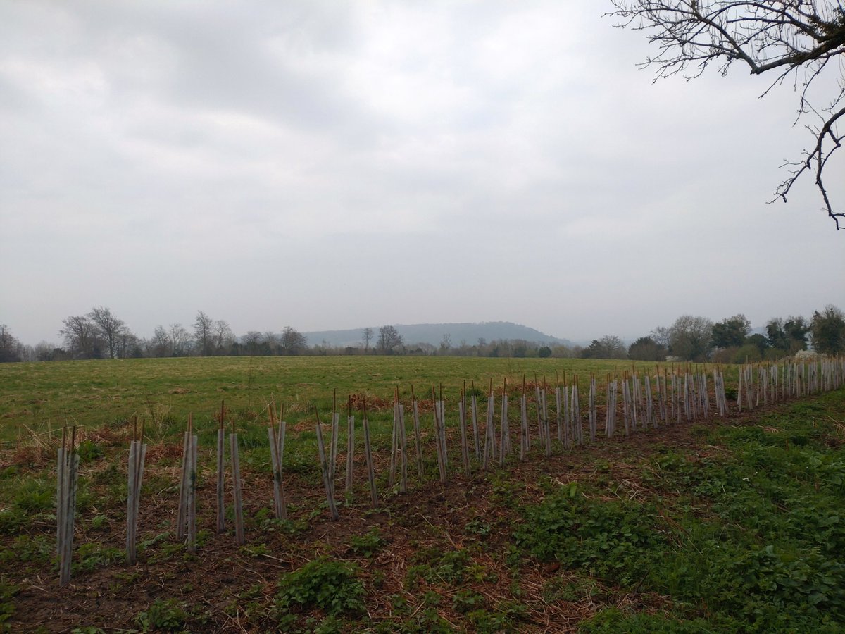 AndrewSalisbur2's tweet photo. Morning: Mountainbike commute from #dirking to @RHSWisley https://t.co/ikp5et4bB3