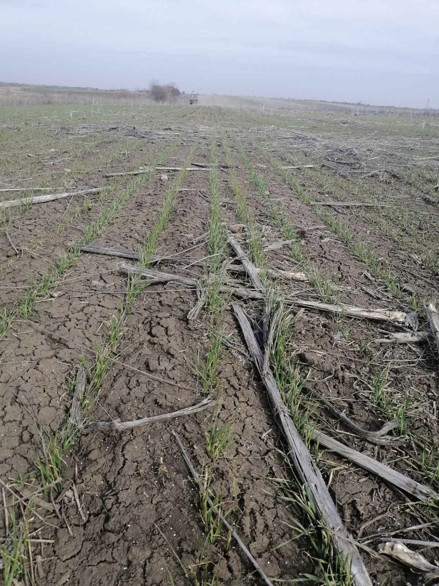 GreenSquareAC's tweet photo. Nitrogen going on to winter wheat in Ukraine this morning. https://t.co/tc9Sz0VJtz