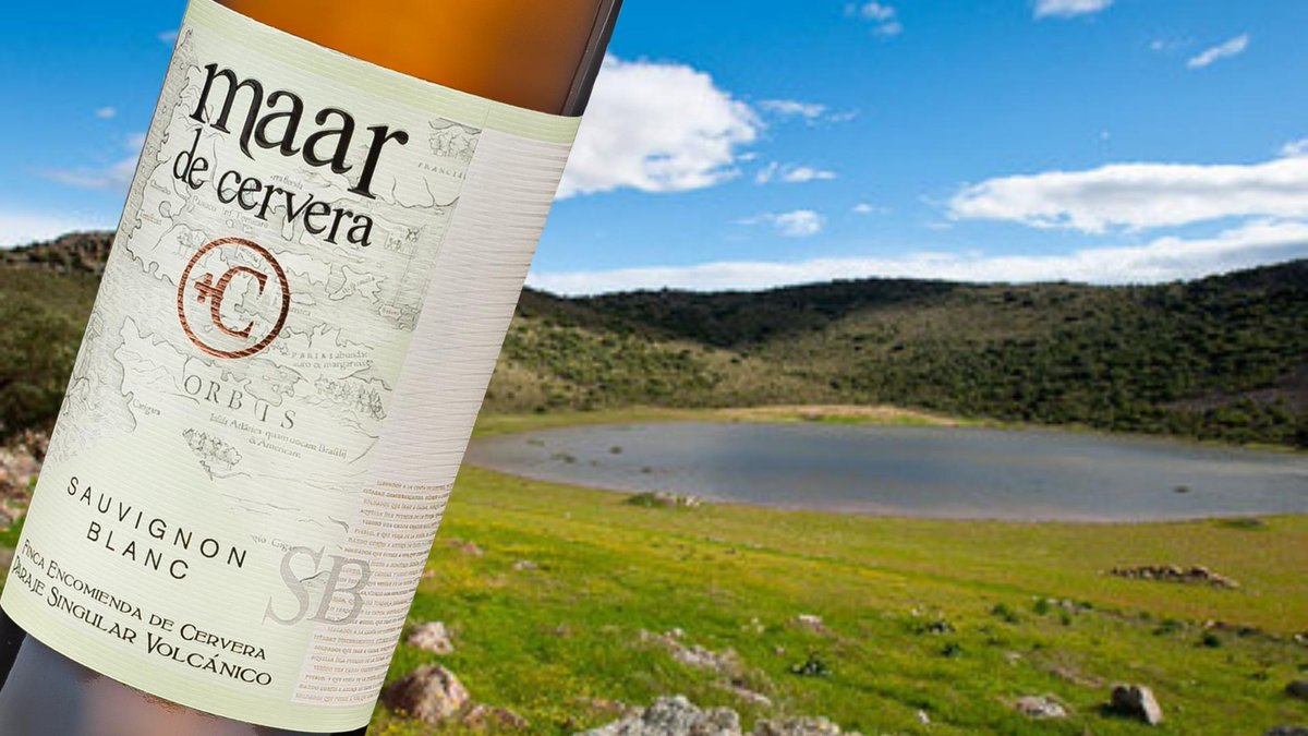 MAAR DE CERVERA SAUVIGNON BLANC UN ESTILO BORDELÉS CON VULCANISMO PURO EN ALMAGRO en is.gd/qK7XdO