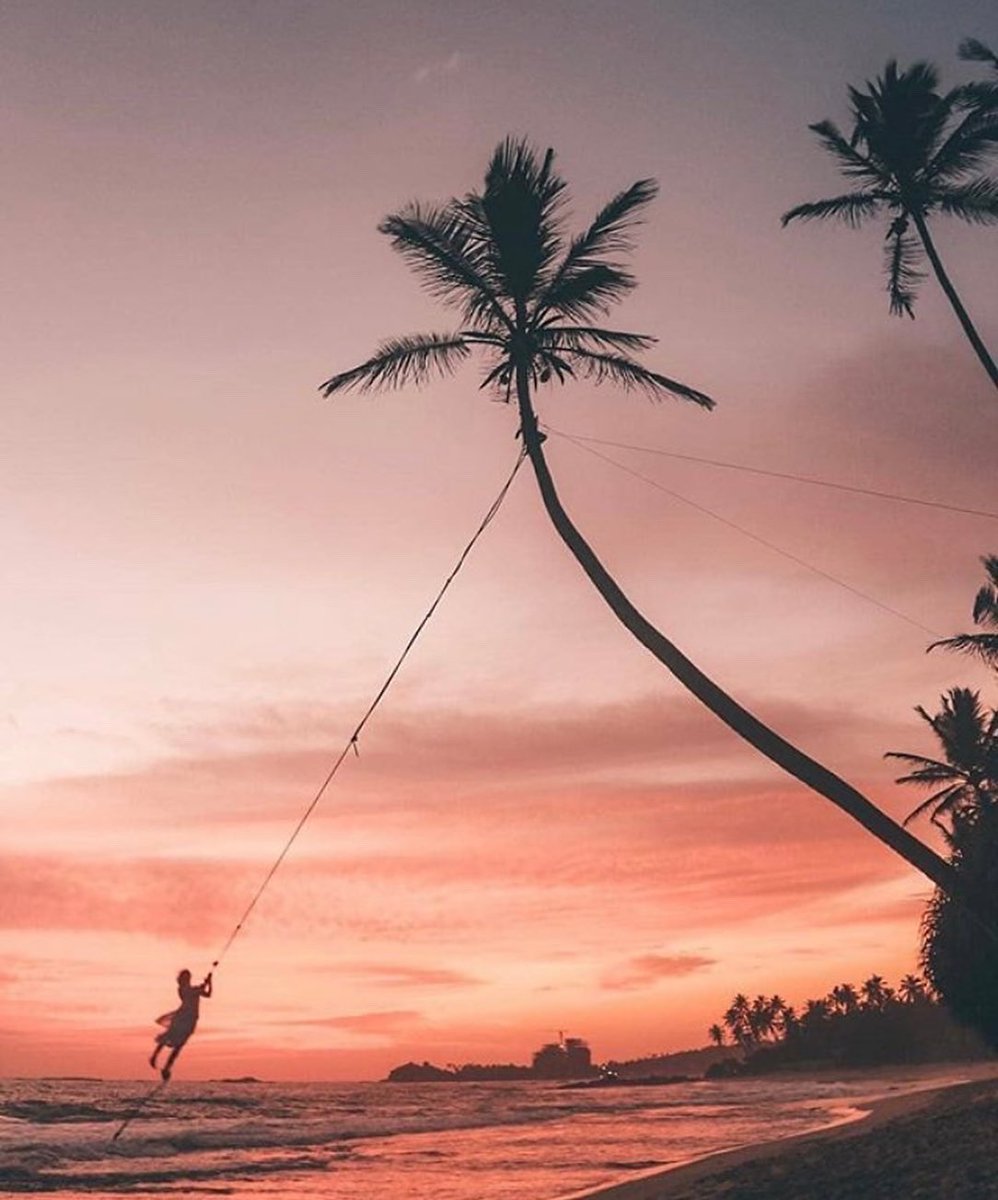 PossumTrek's tweet photo. Cool rainy day here. I’ve been drinking lots of tea & writing about my adventures in a hot tropical island #travel #book #coffee #tea #loscut https://t.co/gH5Qam2cz8