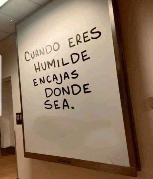 bmw5677mma's tweet image. 