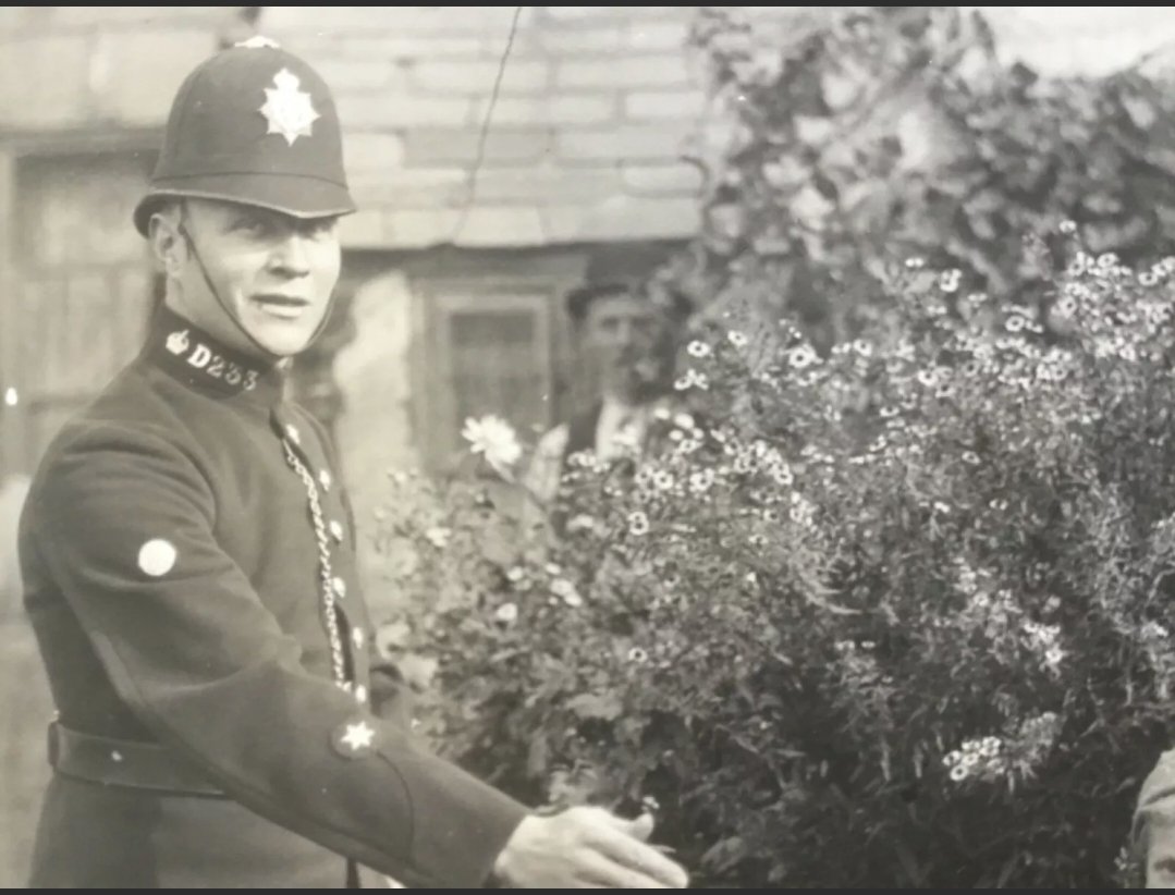 History Copper tweet media