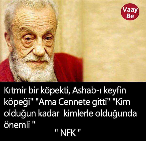 _Dogan_bey's tweet photo. Türkiye'de siyaset adı altında her türlü vatan hainligini din düşmanlığını namertligi yapanların kuyruğuna takılarak onlara destek olacaksın sonra ben çok dindarım  milliyetçiyim diyerek kendini vebalden kurtaracaksın öylemi yok böyle bir Müslüman'lık ahmak. #kemalizmistemiyoruz https://t.co/NpPU165Xzj