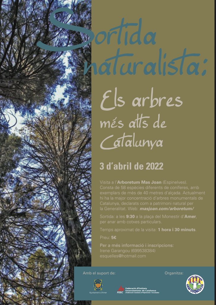 AjuntamentAmer's tweet photo. Els arbres més alts de Catalunya. Sortida naturalista amb @esquelles Amer aquest proper diumenge 3 d'abril a l'Arboretum Mas Joan (Espinelves). 
Per a més informació i reserves: Irene Garangou (699538384) esquelles@hotmail.com https://t.co/nNwPQMGcxm