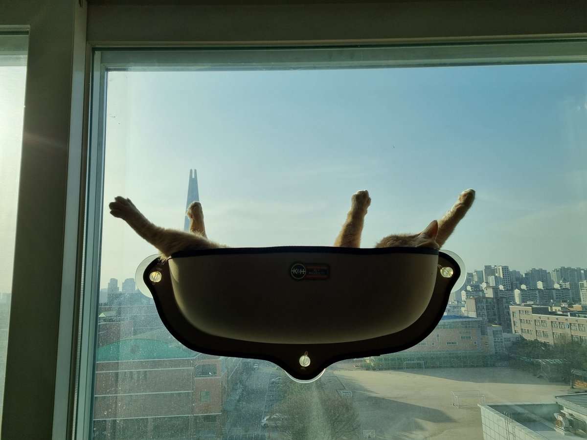 yulmoo_the_cat's tweet photo. 방 들어오자마자 빵터짐ㅋㅋㅋㅋㅋㅋㅋㅋㅋ https://t.co/o5RQWEyfDw