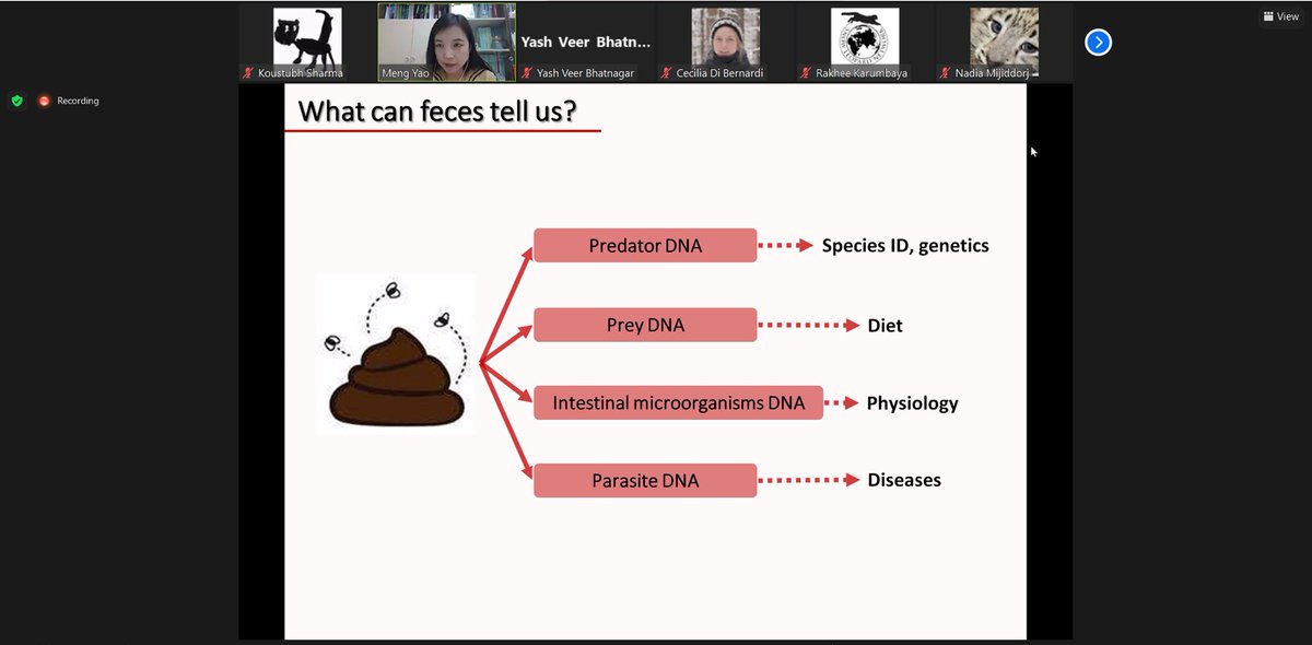 koustubh_sharma's tweet image. #PoopScience: Who knew poop contained so much genetic information-
1. who they are, 
2. who they ate, 
3. who's aiding digest what they ate, &amp;amp; 
4. who's eating them...
Fascinating talk by Dr. Meng Yao on using DNA metabarcoding to reconstruct the feeding habits of #SnowLeopards