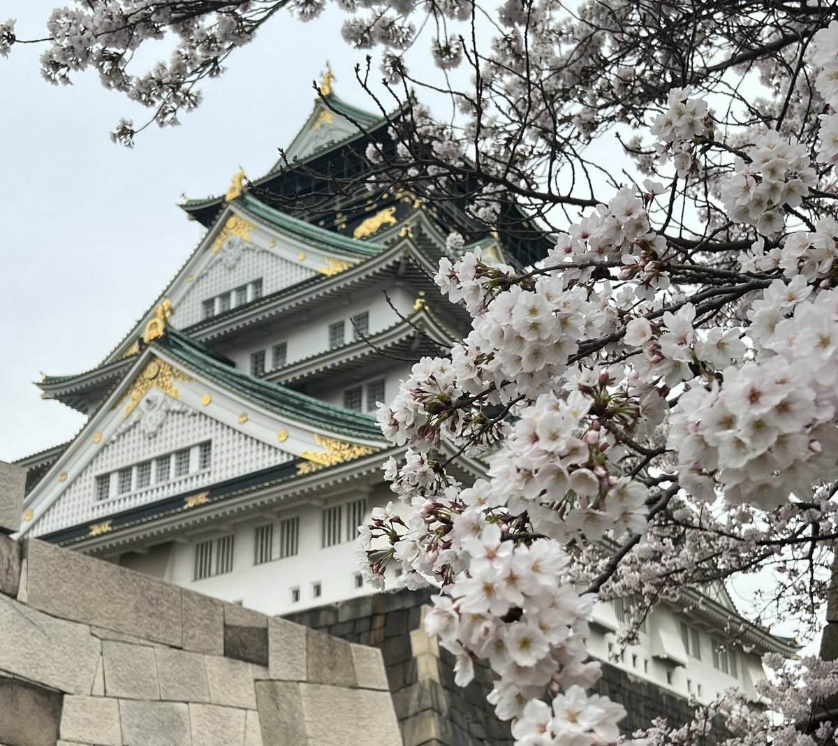 A2kogj23's tweet photo. 大阪城！ https://t.co/B8X8yjQqBU