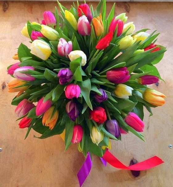🌷НАТАЛИ🌷 tweet media