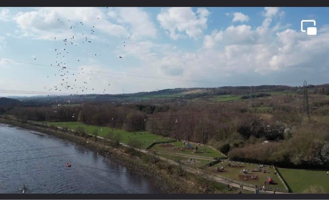 SaveNclWildlife tweet media