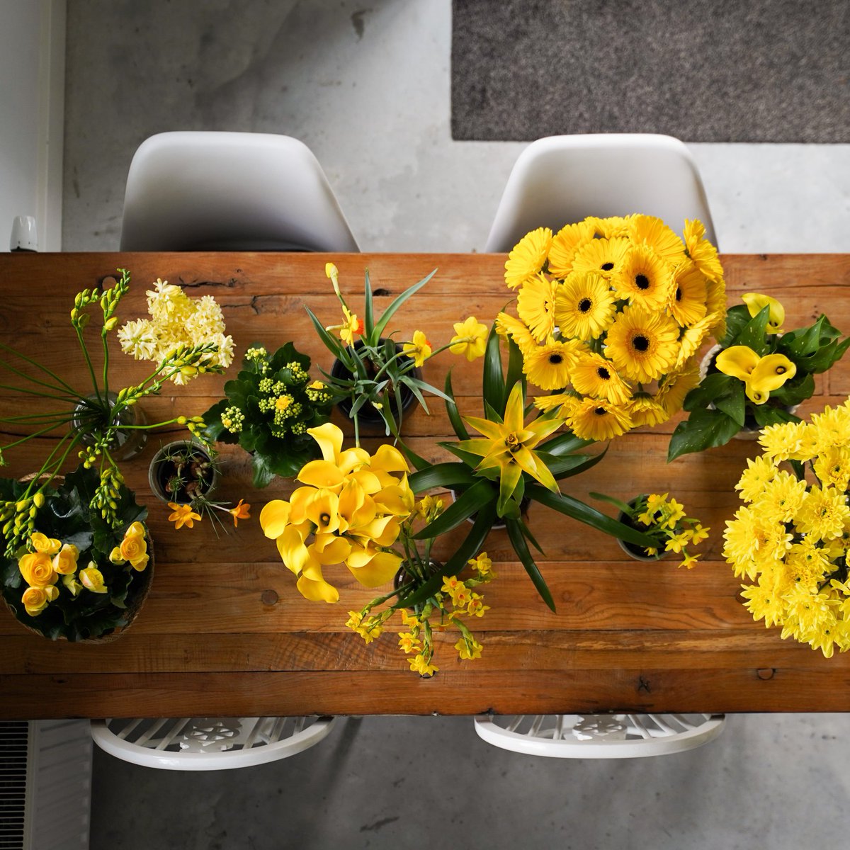 Slijkermankalan's tweet photo. The Springfair of @RFHTradeFair takes place next wednesday and thursday (6 and 7 April). Our colleague Thijmen is present at the @Decorumcompany booth to update you on our current range of plants.
#kalanchoe #springfair #RFH #easycare https://t.co/E3kv3XJHrE