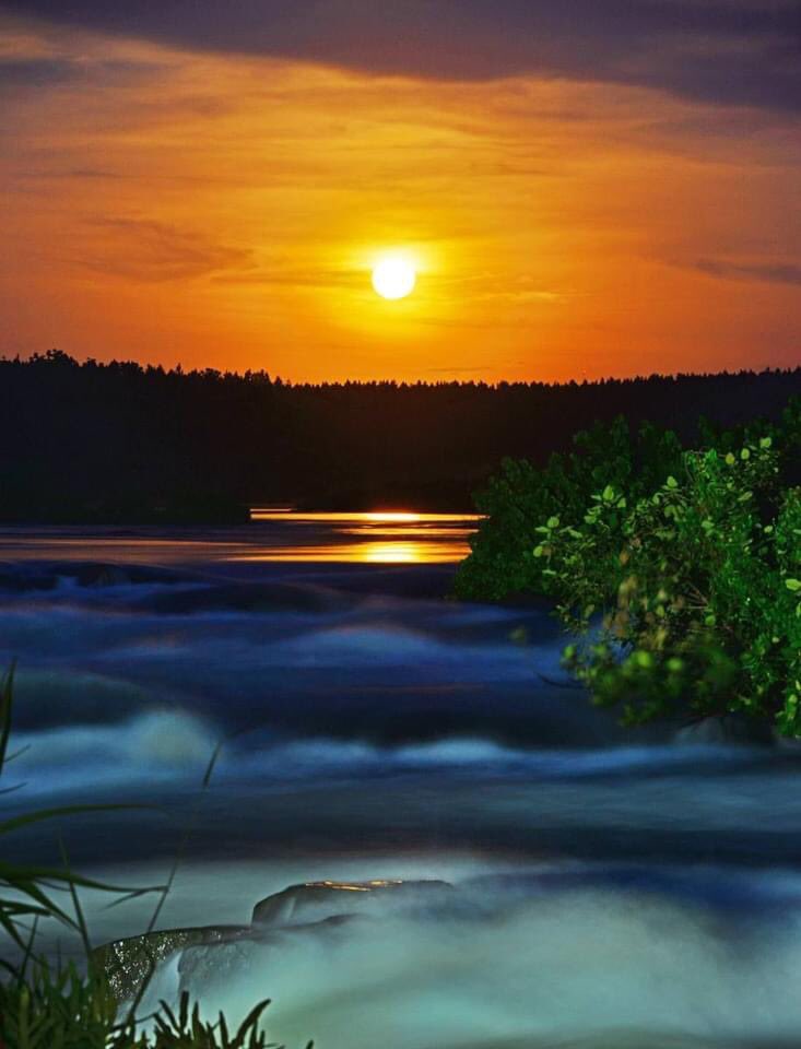 ThisIsUganda's tweet photo. This is Uganda 🇺🇬 
#thisisiganda

Lemala Wildwaters Lodge in Uganda 🇺🇬 

@WildwatersLodge 
@IduwatOchom @EddiePages @edgarbatte @TimKaturamu @wekesa_amos @amonmukisa @Eristaus @IamEddieOkila @Tyrese @SirUTI @Mrsgymmonkey @OkilaFitness @therealGnlzamba @FrenchieAyi @EddiePages https://t.co/OQsFU9u08C