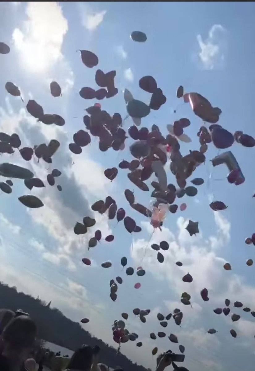 SaveNclWildlife tweet media