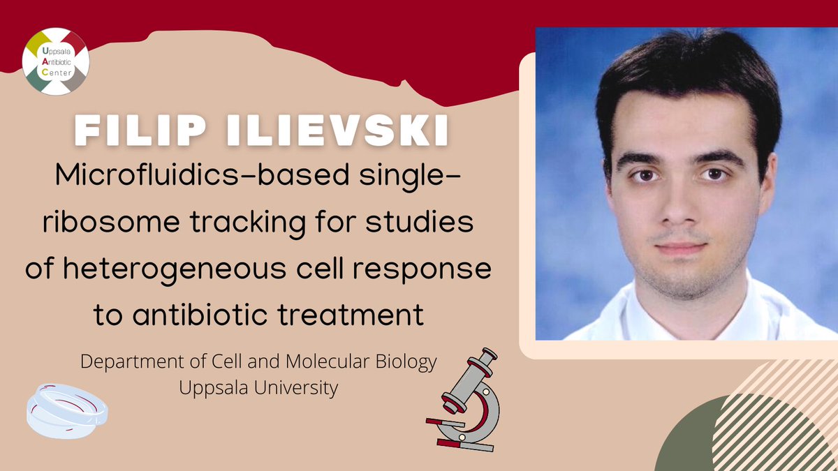 Uppsala Antibiotic Center (@uac_uu) on Twitter photo Student @FilipIlievski94 and <a href="/m_johansson_/">Magnus Johansson</a> are using #microfluidics technology to study the bacterial #ribosome as a means of improving our understanding of #antibiotics mode of action!
Details: uac.uu.se/uac-research/r… Student @FilipIlievski94 and <a href="/m_johansson_/">Magnus Johansson</a> are using #microfluidics technology to study the bacterial #ribosome as a means of improving our understanding of #antibiotics mode of action!
Details: uac.uu.se/uac-research/r…