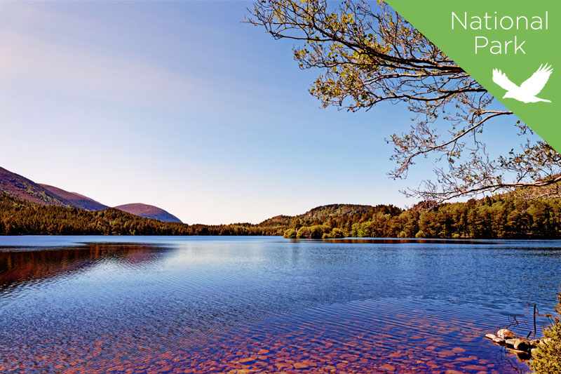 UKTourismHub's tweet photo. 2 of 15 - The Cairngorms - Britain’s largest National Park hosts rugged mountains, roaring rivers, heather moorlands, lochs, ancient forests, castles, famous whisky distilleries, a vast array of wildlife and exhilarating outdoors activities.
https://t.co/Ydtcq3tcnI https://t.co/f8WwOLXBzw