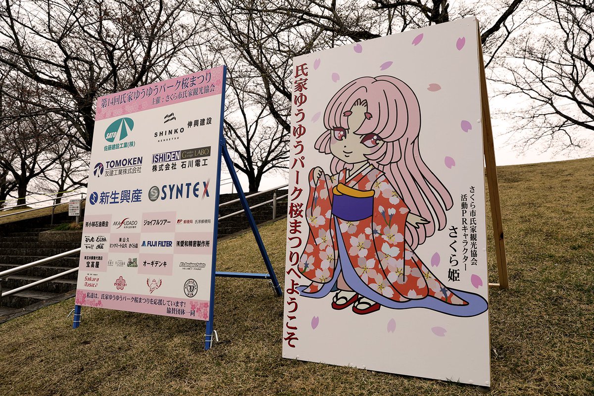 macha_p22's tweet photo. 氏家ゆうゆうパークの桜まつり
今年もイベントはありませんが
ライトアップは実施中です！
毎日18時～21時、4/17まで

そして、協賛企業や団体の広告が
さくら姫と共に本日設置されました！
桜は咲き始め
これからが見頃ですね

是非お出かけください！

#氏家ゆうゆうパーク
#さくら市氏家観光協会 https://t.co/342jacCReQ