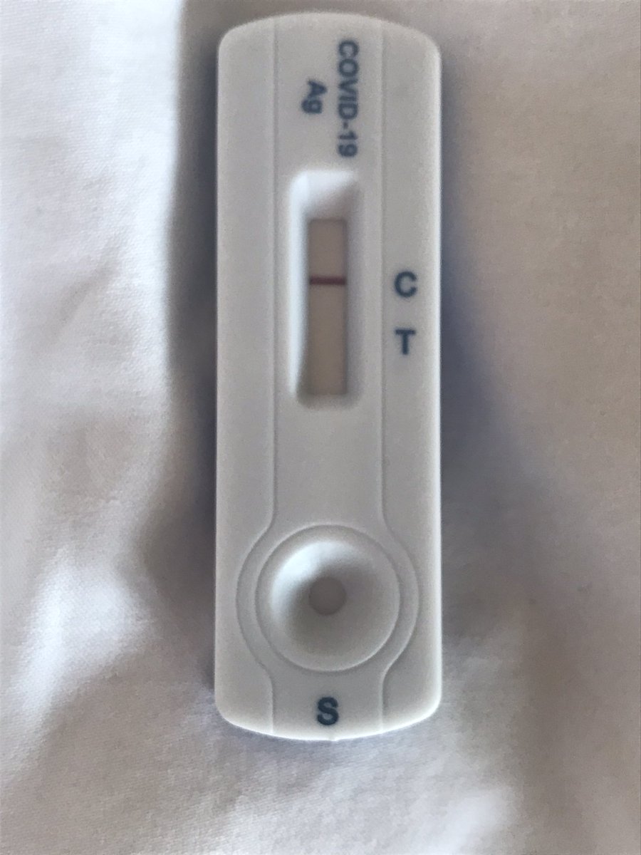 Lucy Meacock tweet media