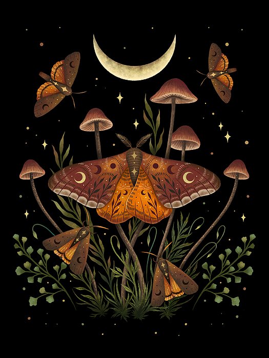 Lea Yunk tweet media