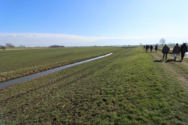 Herman Bouman tweet media