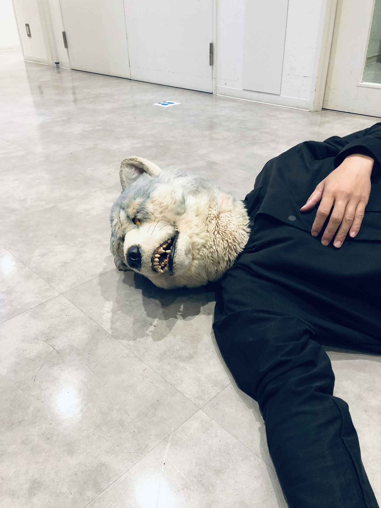 MAN WITH A MISSION マンウィズ フードファーマフラー mwaminfo on X: