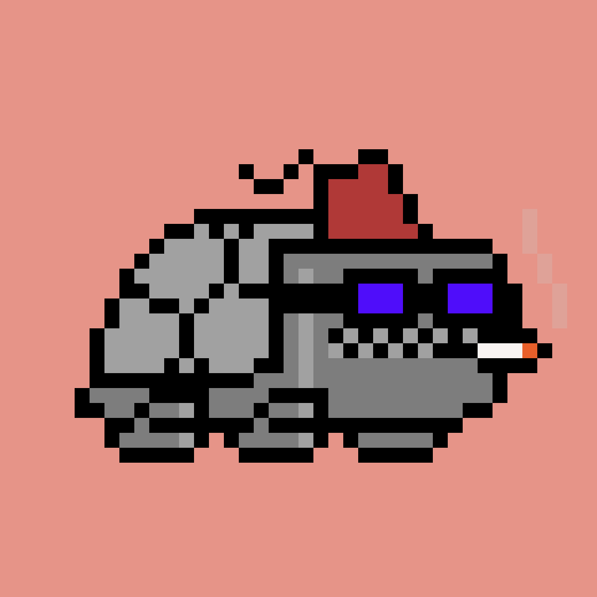 CrypTurtlez tweet media