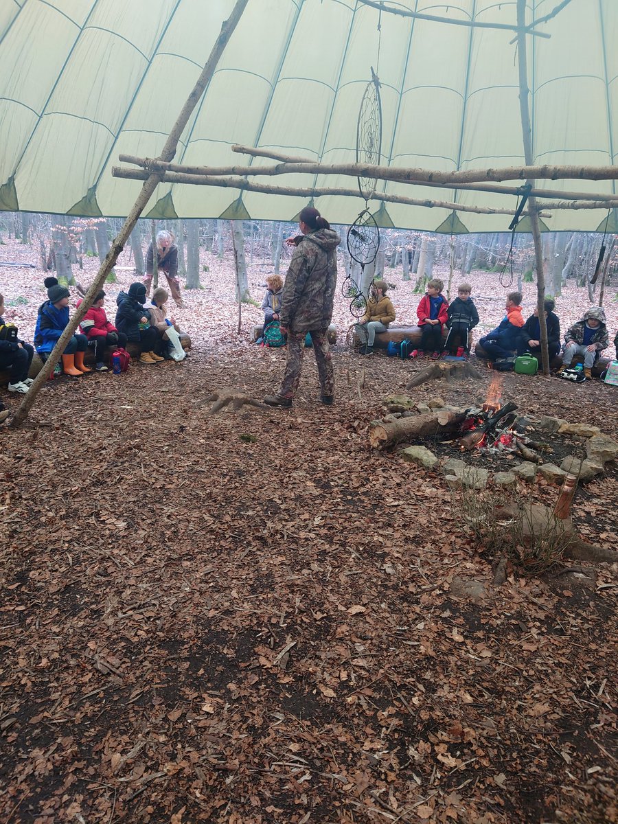 Mr Green tweet media