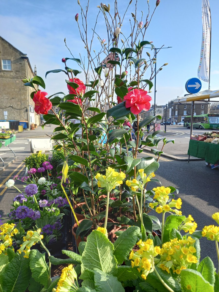 buxtonmarkets's tweet photo. Shop in sunshine on Buxton Market! https://t.co/dtCE67yQiD