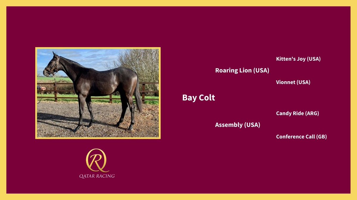 Qatar Racing tweet media