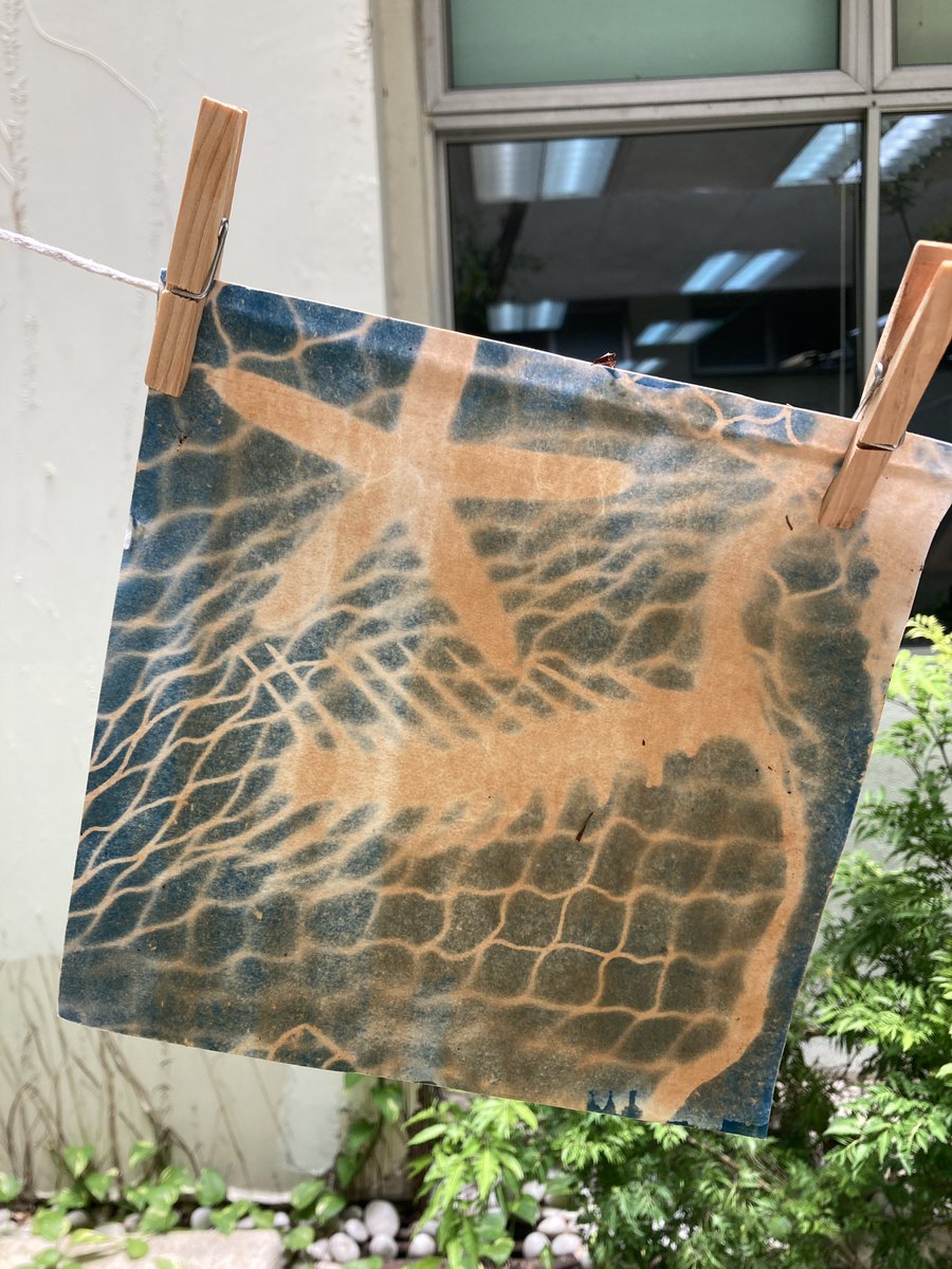 Phil_Delmotte's tweet photo. Lunchtime #cyanotype workshop during #GISscienceweek. Any advice on how to get better results is greatly appreciated #learning https://t.co/Cr8b56Zv6c