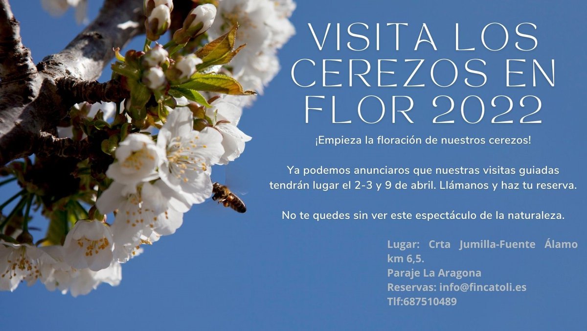 FincaToli's tweet photo. Floración 2022🌸 https://t.co/6f4fzf9S7f