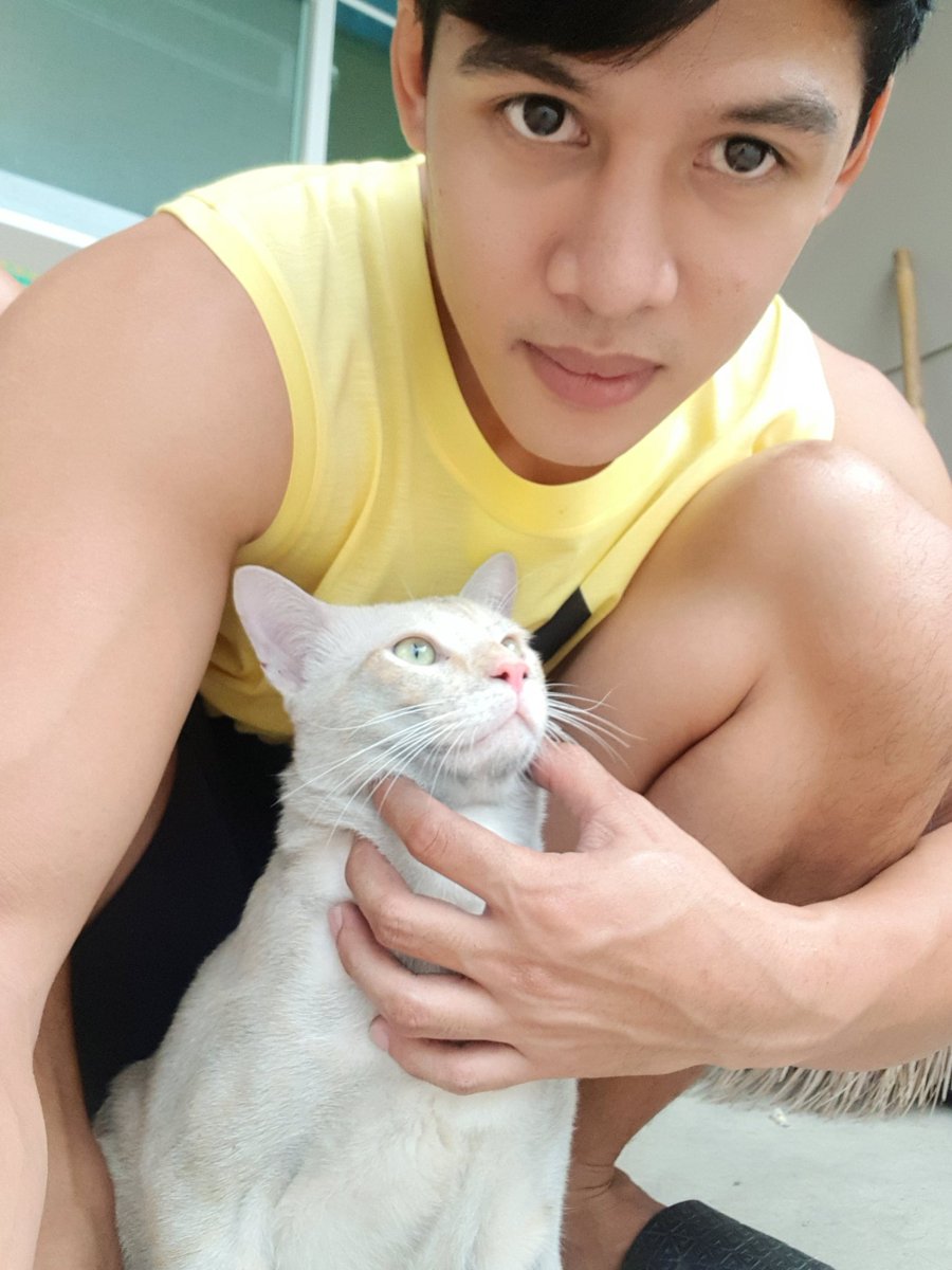 nut_model's tweet image. แมวดื้อ