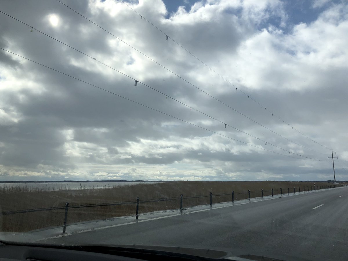 ozlem_canel's tweet photo. On our way to #Saarema - #windenergy https://t.co/zpDgp4PJin