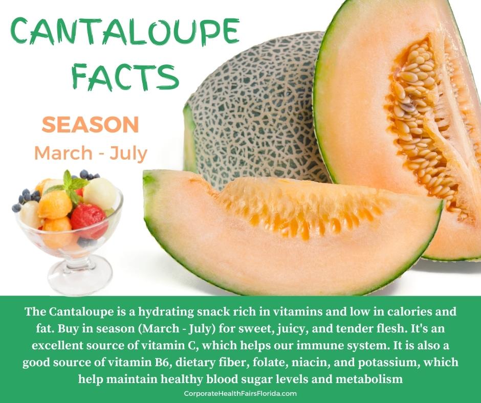 CorporateHF's tweet photo. Cantaloupe is an excellent source of vitamin C and now's the time to buy these sweet and juicy melons😋
#healthylife https://t.co/aKP4jXYde0