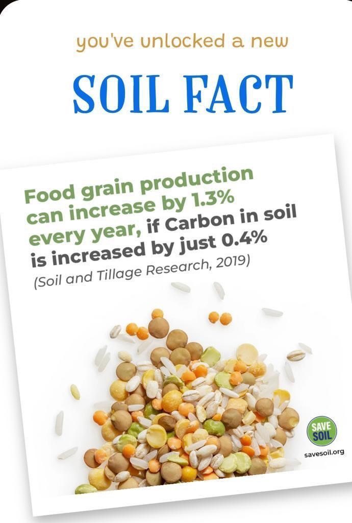 Jashn01751873's tweet image. For this to happen, soil needs to be enriched with organic contents from 3-6% minimum. Let’s make it happen. Let’s hit the root, #soil and solve every #climateissue in one go. Let’s make it happen for us and for the unborn. #savesoil #100DaysForSoil #JourneyForSoil @cpsavesoil