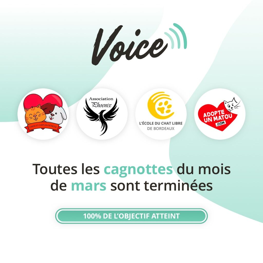 leo_yummypets's tweet photo. BRAVO ! 👏
Grâce à votre solidarité, toutes les cagnottes des associations du mois de mars sont terminées. 🎉 
Elles seront prochainement livrées par nos partenaires Croquetteland et Hill’s Pet Nutrition  de 75 kilos d'alimentation.💚 https://t.co/fiCWDp04Bu https://t.co/zsvilYq8F0