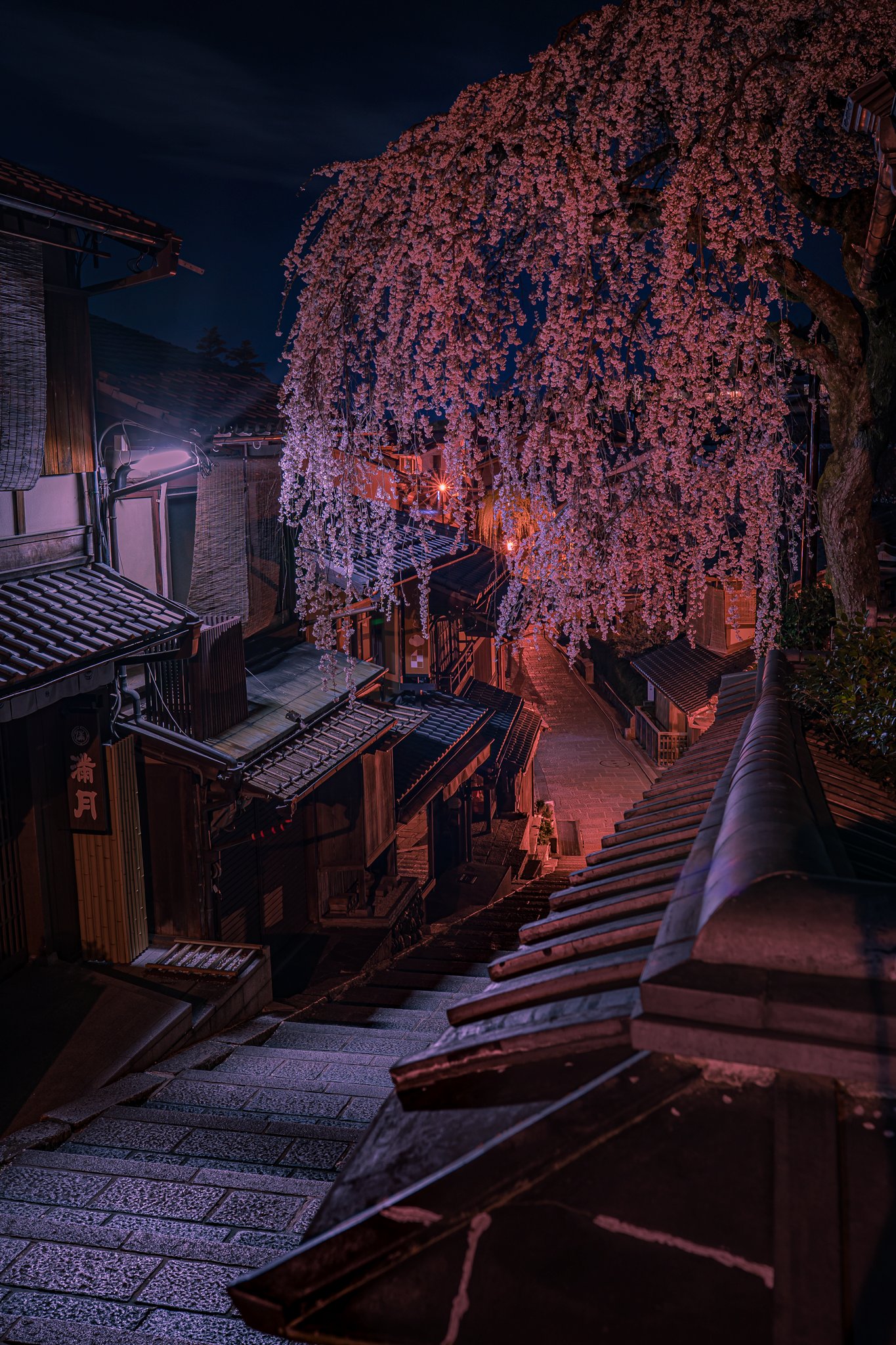 前山 京都で見る夜桜の美しさ T Co Qizb9bsqlm Twitter