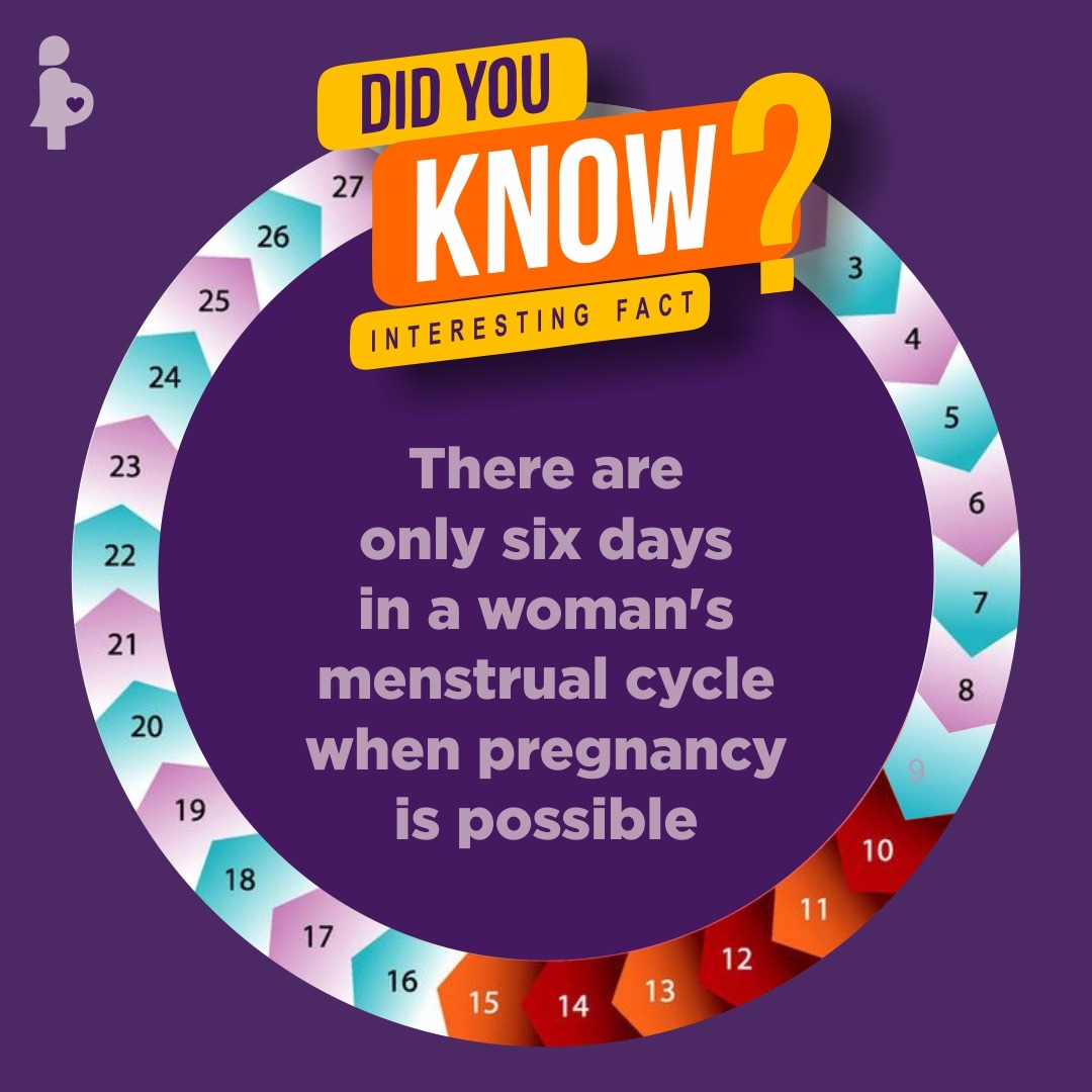 AppBabyready's tweet photo. DID YOU ALL KNOW??
There are only six days in a woman's menstrual cycle when pregnancy is possible
#infertilitycommunity #infertilityawareness #infertilityplatform #infertilitysupport #infertilitywarrior #infertilityjourney #femaleinfertility #infertility #babyready #babyreadyapp https://t.co/Fwt0l2LSid