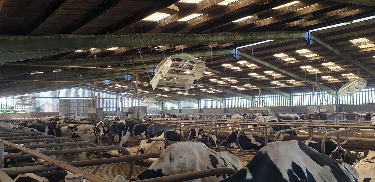 Magdek TS tweet media