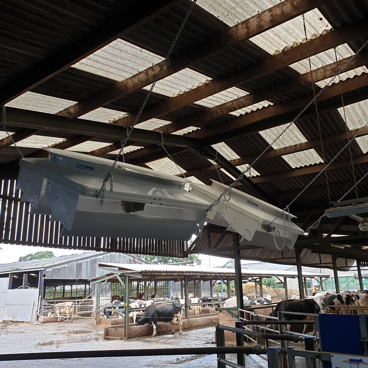 Magdek TS tweet media