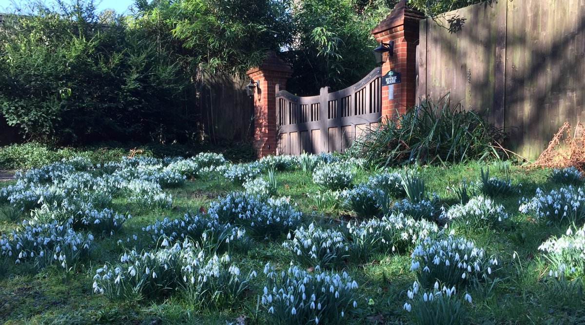 MoleValleyDC's tweet photo. Step into springtime with our #StepIntoMoleValley walks perfect for discovering bluebells and long range vistas.

https://t.co/XaH7BYsuh0 https://t.co/Gdf9kMk8kr