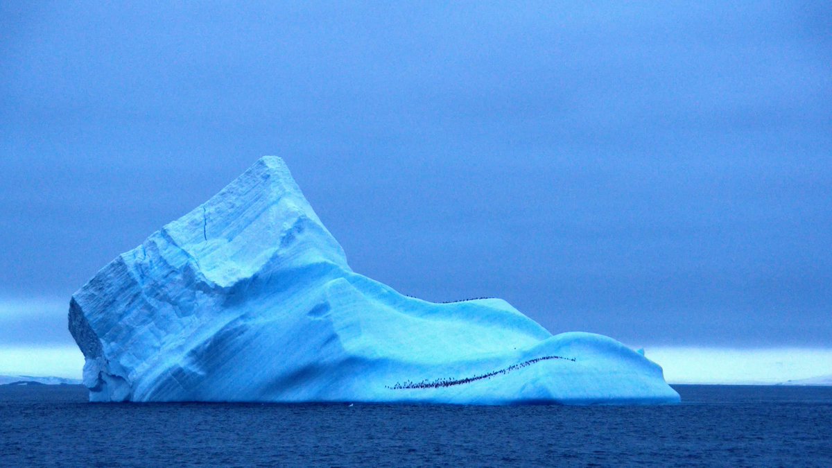 kim_donker's tweet photo. Children's names are the most important words to them. My friend Angela shared her experience of Antarctica with my students in a meaningful way, helping them make connections. #isaruba #issedu #GlobalGoals https://t.co/IqdtRw7H2n