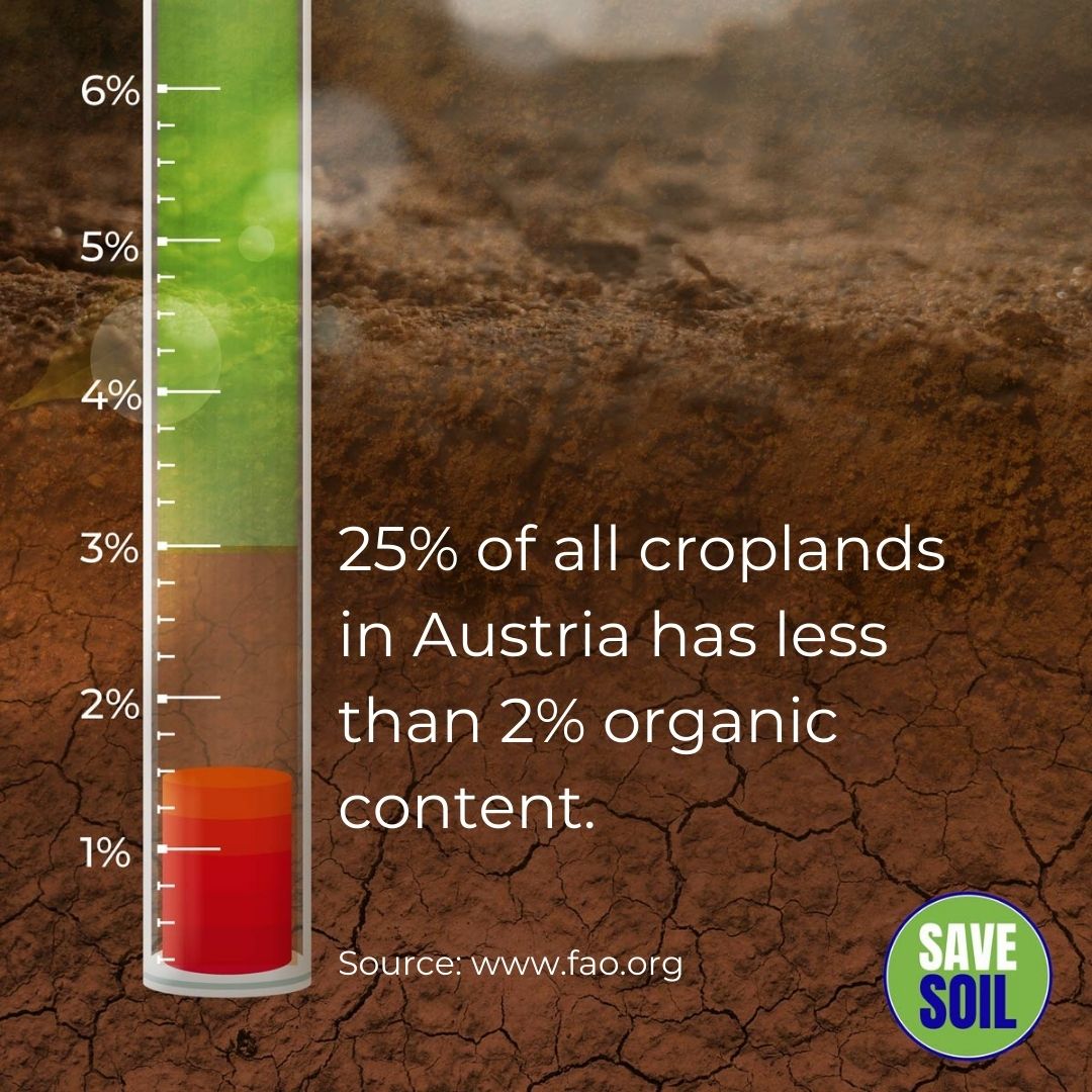 cpsavesoil's tweet photo. For soil to be considered healthy, it needs a minimum of 3 to 6% organic content. The higher the organic content in the soil, the more nutrition the crop will have.
#SaveSoil Action now: https://t.co/z6MmqLXuw6
#ConsciousPlanet #SaveSoilVienna https://t.co/3uhPHTBNKW