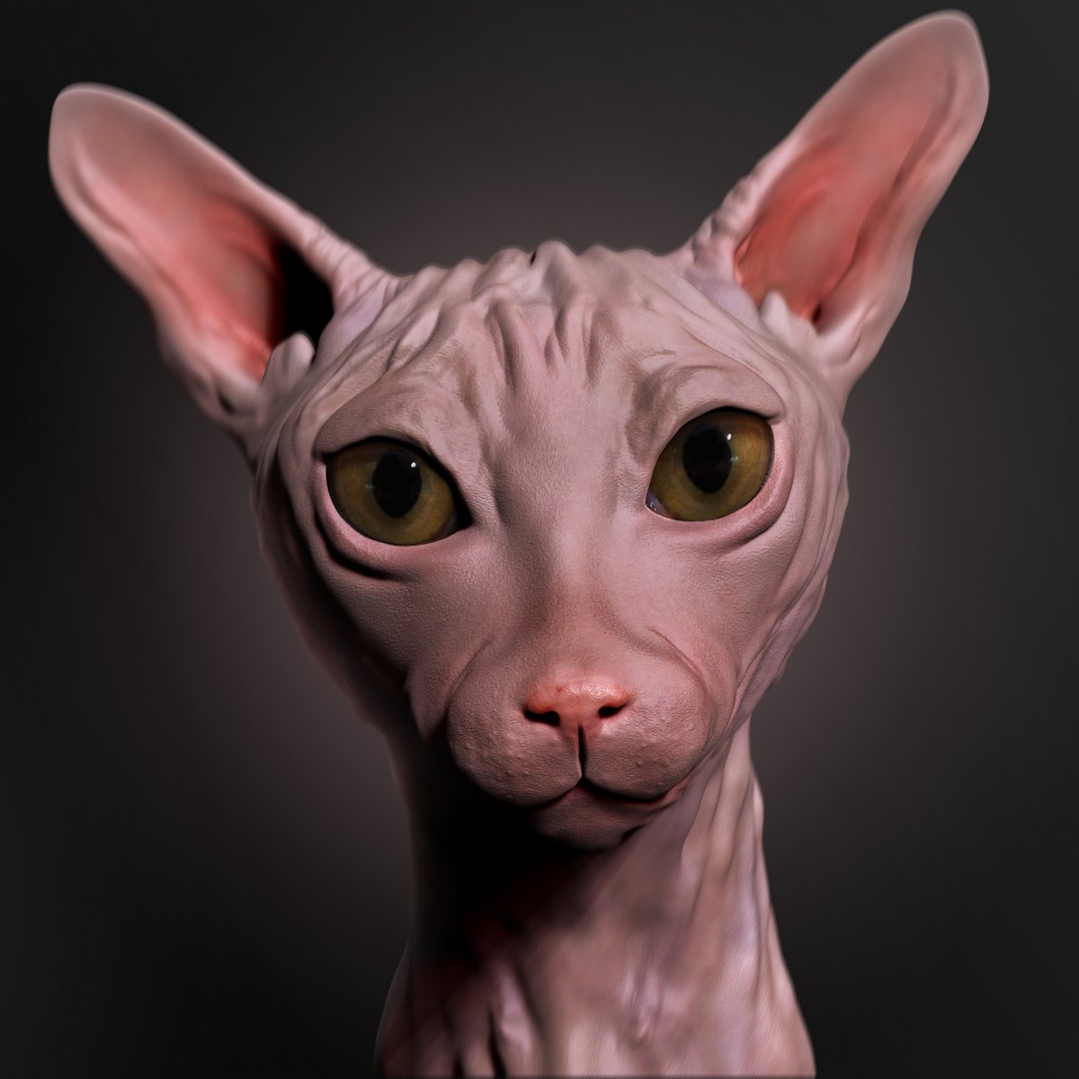 Myzart1's tweet photo. "Kukusik" 🐈
0.03 $ETH on Polygon

-Small and very curious cat of the Sphynx breed🥰

😘Check out my new NFT listing on OpenSea! https://t.co/S9QwLjXdDS via @opensea 

#NFTCommunity #NFTartist #nftart #NFTProject #NFTdrop #NFTCommunityCryptoArt #opensea #art #cat #ZBrush #3D https://t.co/ku3E4F6NQV