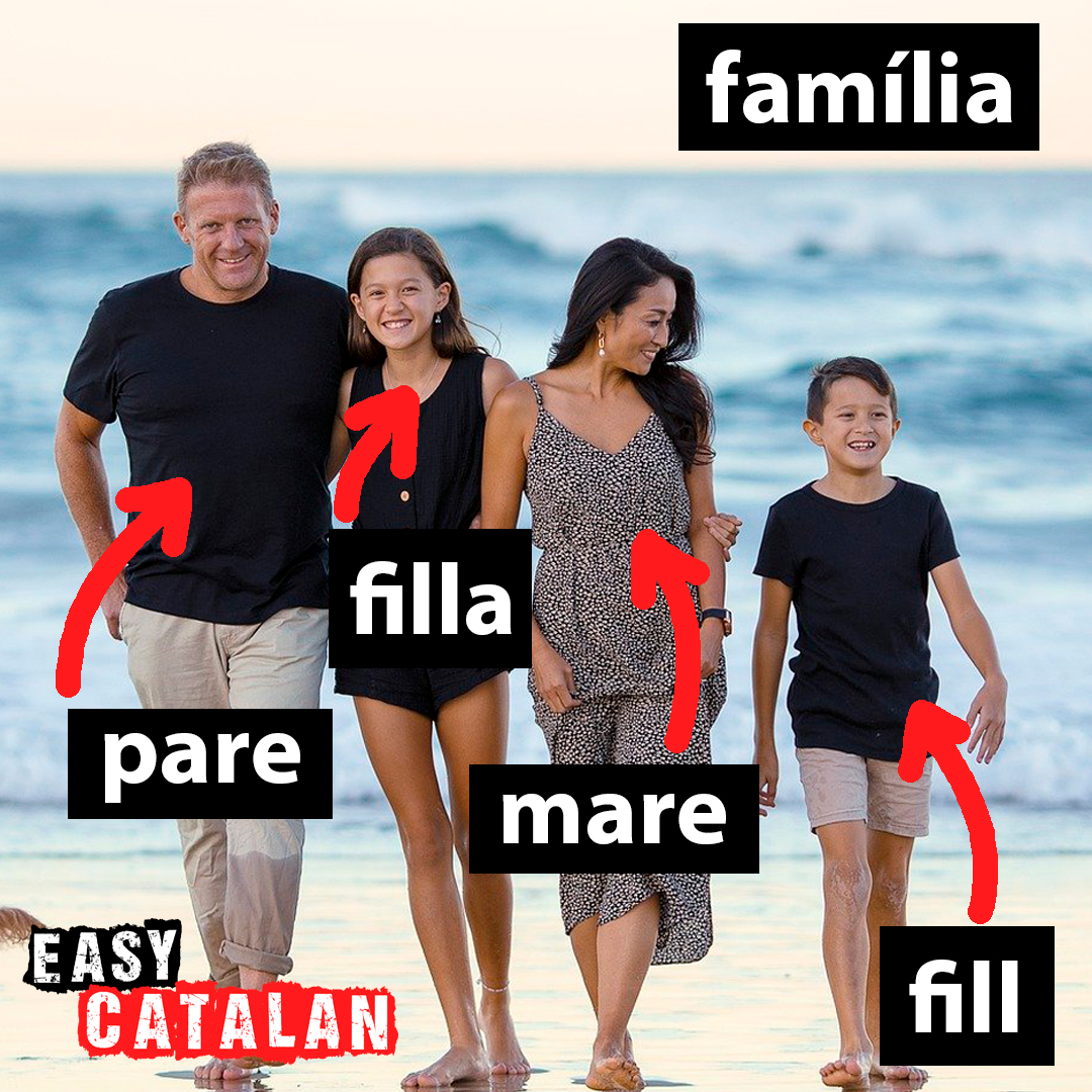 EasyCatalan's tweet photo. Aquesta es podria dir que és la #família “tradicional”, però com és la teva? Explica’ns-ho!
El fill i la filla entre ells què són?
#easycatalan
#pare
#mare
#learncatalan
#catalanfacil
#aprendercatalan
#vocabulari
#germans https://t.co/inHicH4bvU